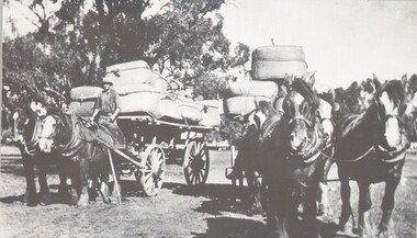 Photograph - HARRY BIGGS COLLECTION: WOOL CARTING