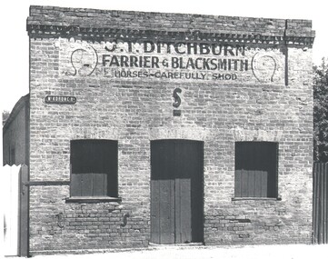 Photograph - HARRY BIGGS COLLECTION:  J T DITCHBURN  FARRIER & BLACKSMITH