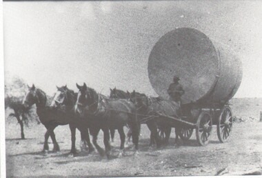 Photograph - HARRY BIGGS COLLECTION: TEAM OF HORSES