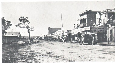 Photograph - HARRY BIGGS COLLECTION: BENDIGO PALL MALL, 1850's