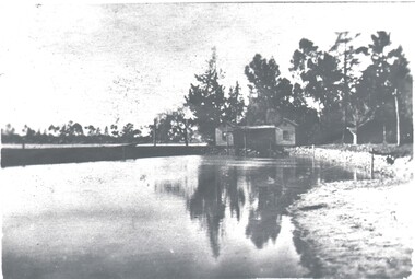 Photograph - HARRY BIGGS COLLECTION:  ON THE LAKE EAGLEHAWK