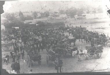 Photograph - HARRY BIGGS COLLECTION: HOSPITAL WOOD DAY