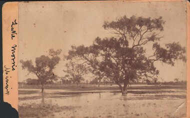 Photograph - HARRY BIGGS COLLECTION: LAKE MORRIS, 1959