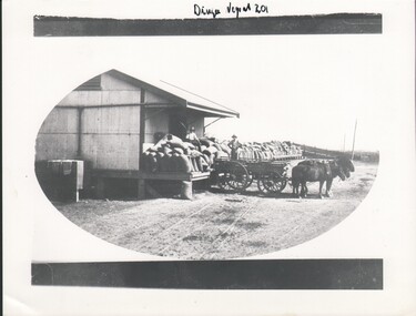 Photograph - HARRY BIGGS COLLECTION: LOADING WHEAT