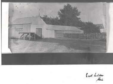 Photograph - HARRY BIGGS COLLECTION: SHEARING SHED