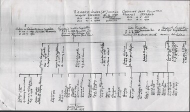Document - HARRY BIGGS COLLECTION: FAMILY TREE, 27/06/1982