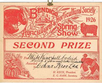 Document - COHN BROTHERS COLLECTION: PRIZE CARDS, 1923, 1924, 1925, 1926