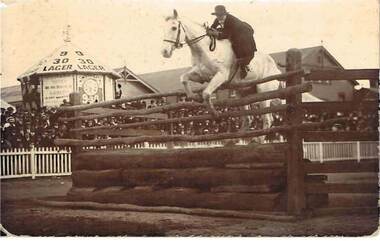 Postcard - COHN BROTHERS COLLECTION: WOMEN SHOW JUMPING, Date unknown