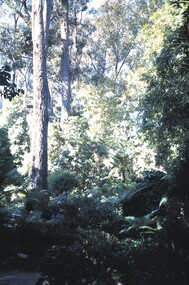 Slide - BENDIGO VIEWS, Apr 1962