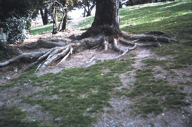 Slide - BENDIGO VIEWS, May 1964