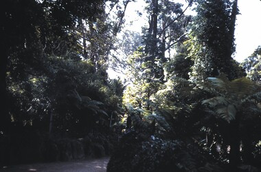Slide - BENDIGO VIEWS, Aug 1969