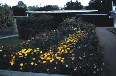 Slide - BENDIGO VIEWS, Mar 1971