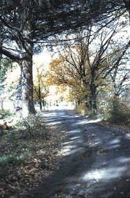 Slide - BENDIGO VIEWS, Apr 1960