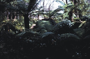 Slide - BENDIGO VIEWS, Aug 1969