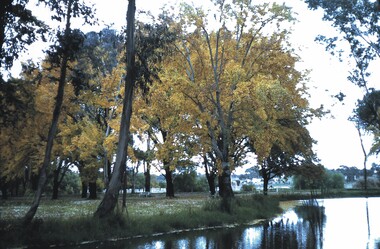 Slide - BENDIGO VIEWS, May 1969