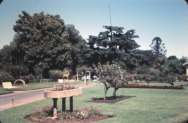 Slide - BENDIGO VIEWS, Dec 1960