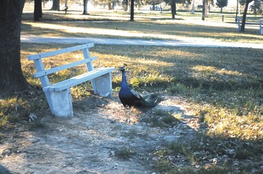 Slide - BENDIGO VIEWS