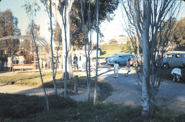 Slide - BENDIGO VIEWS