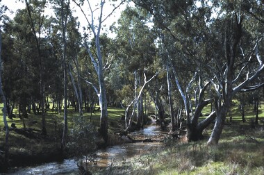Slide - BENDIGO VIEWS, Aug 1964