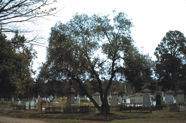 Slide - BENDIGO VIEWS, Jun 1968