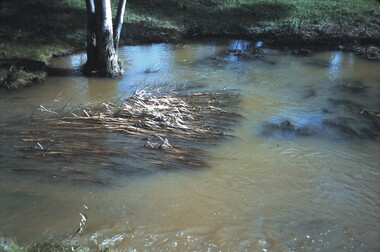 Slide - BENDIGO VIEWS, Aug 1964