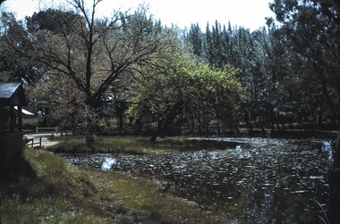 Slide - BENDIGO VIEWS, Oct 1963