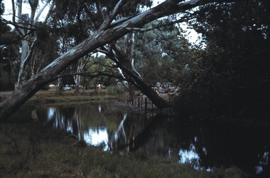 Slide - BENDIGO VIEWS, May 63