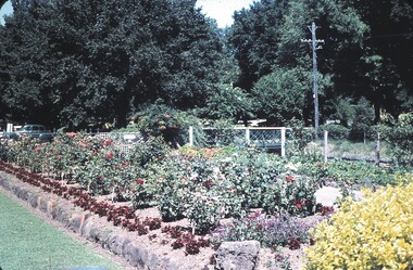 Slide - BENDIGO VIEWS, Dec 1960