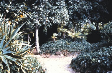 Slide - BENDIGO VIEWS, Apr 1960