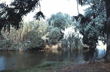 Slide - BENDIGO VIEWS, Nov 1960