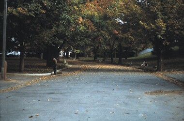 Slide - BENDIGO VIEWS, May 1964