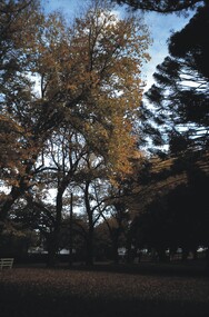 Slide - BENDIGO VIEWS, May 1964