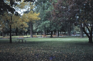 Slide - BENDIGO VIEWS, May 1961