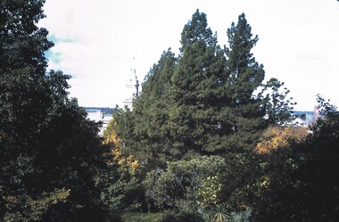 Slide - BENDIGO VIEWS, May 1964