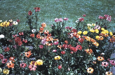 Slide - BENDIGO VIEWS, Oct 1968
