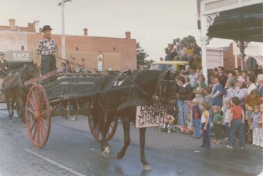 Photograph - VAL DENSWORTH COLLECTION: EAGLEHAWK DAHLIA & ARTS  PROCESSION, April 1979
