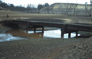 Slide - VAL DENSWORTH COLLECTION: DRY LAKE EPPALOCK, May 2004
