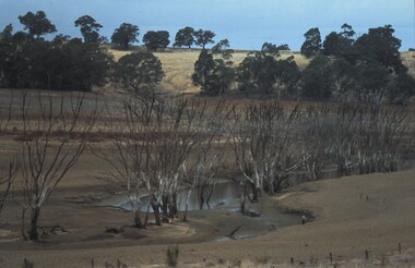 Slide - VAL DENSWORTH COLLECTION: DRY LAKE EPPALOCK, May 2004