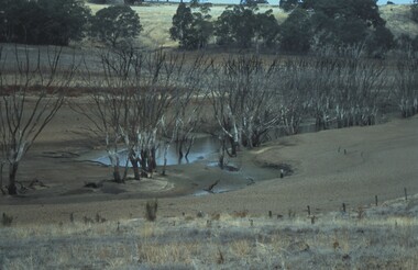 Slide - VAL DENSWORTH COLLECTION: DRY LAKE EPPALOCK, May 2004