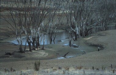 Slide - VAL DENSWORTH COLLECTION: DRY LAKE EPPALOCK