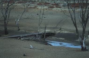 Slide - VAL DENSWORTH COLLECTION: DRY LAKE EPPALOCK, May 2004