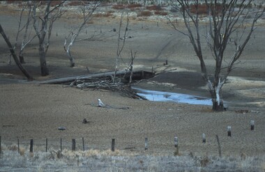 Slide - VAL DENSWORTH COLLECTION: DRY LAKE EPPALOCK, May 2004