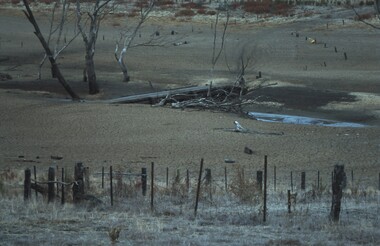 Slide - VAL DENSWORTH COLLECTION: DRY LAKE EPPALOCK, May 2004
