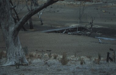 Slide - VAL DENSWORTH COLLECTION: DRY LAKE EPPALOCK, May 2004