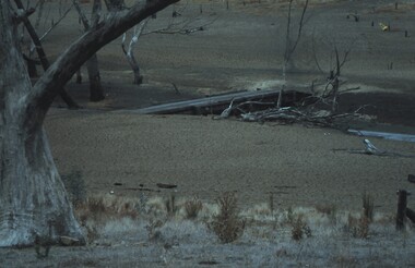 Slide - VAL DENSWORTH COLLECTION: DRY LAKE EPPALOCK, May 2004