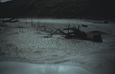 Slide - VAL DENSWORTH COLLECTION: DRY LAKE EPPALOCK, May 2004