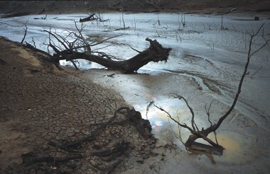 Slide - VAL DENSWORTH COLLECTION: DRY LAKE EPPALOCK, May 2004