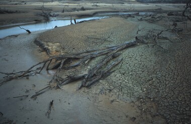 Slide - VAL DENSWORTH COLLECTION: DRY LAKE EPPALOCK, May 2004