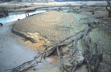 Slide - VAL DENSWORTH COLLECTION: DRY LAKE EPPALOCK, May 2004