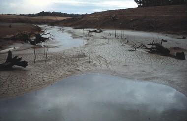 Slide - VAL DENSWORTH COLLECTION: DRY LAKE EPPALOCK, May 2004